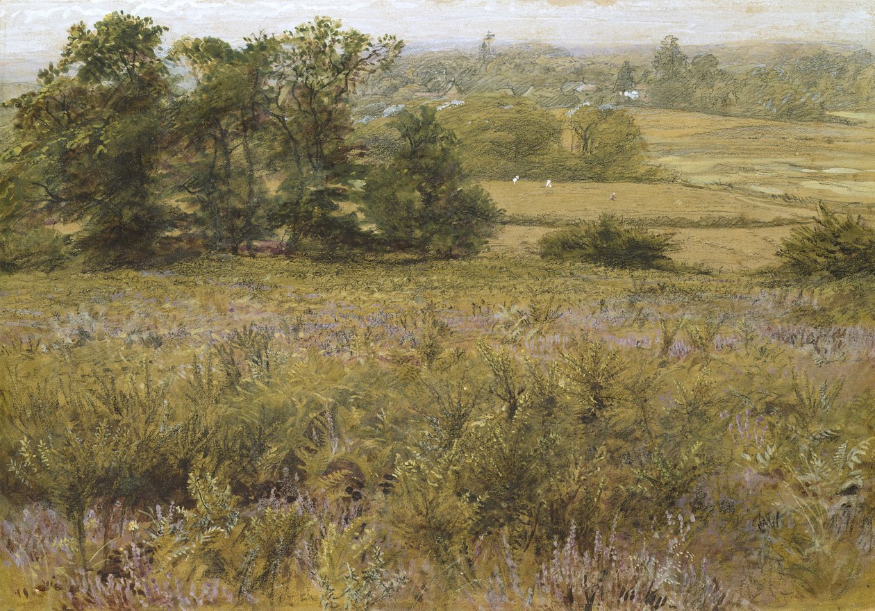 Shamba la Furze, karne ya 19 (watercolor)swed av Samuel Palmer