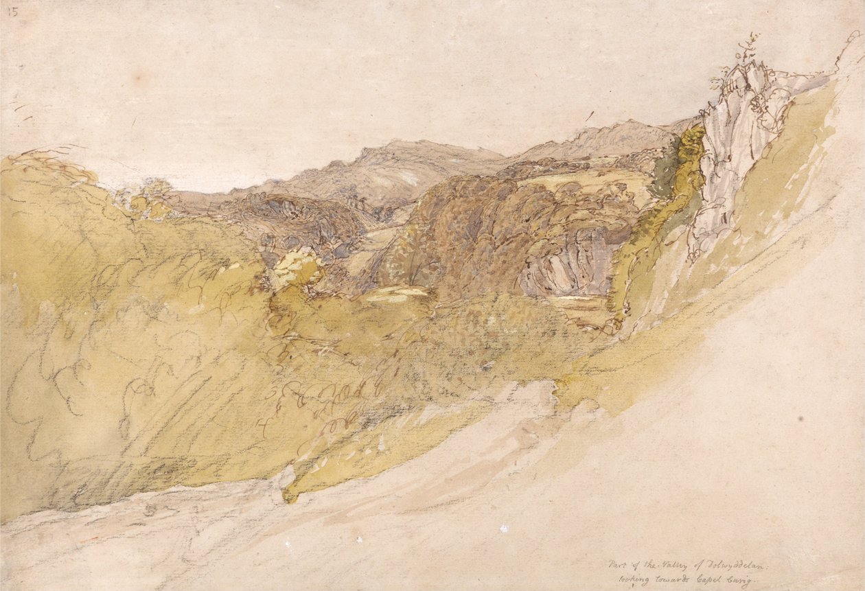 The Valley of Dolwyddelan av Samuel Palmer