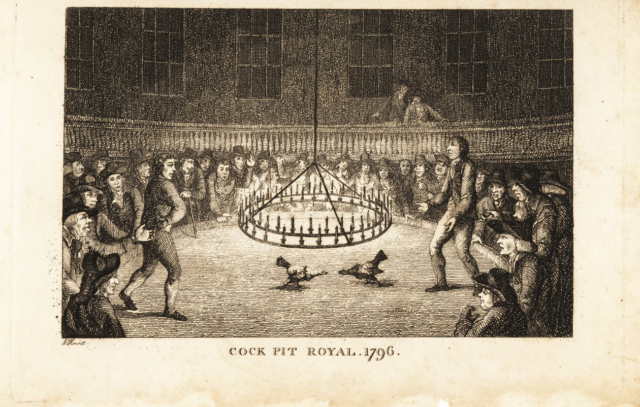 Spelare tittar på en tuppkamp i levande ljus på Cock Pit Royal, St av Samuel (after) Howitt