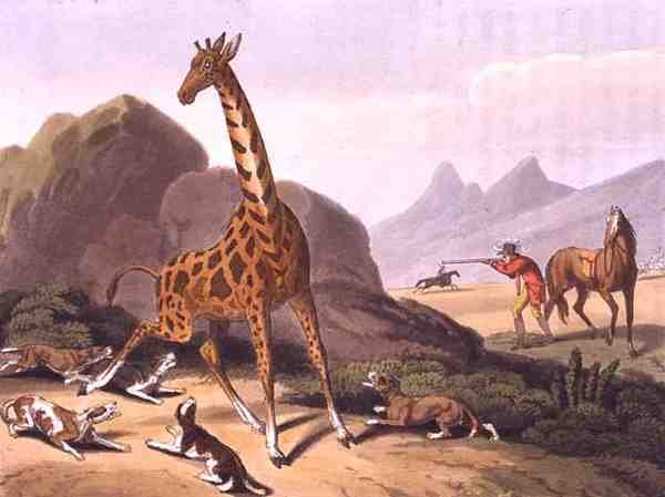 Hunting the Camelopard, graverad av Matthew Dubourg (fl.1785-1820), utgiven av Edward Orme av Samuel (after) Howitt
