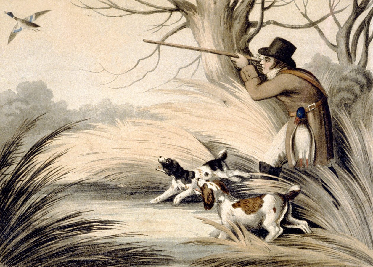 Shooting Duck, graverad av H. Merke, ca 1809 (färg litho) av Samuel (after) Howitt