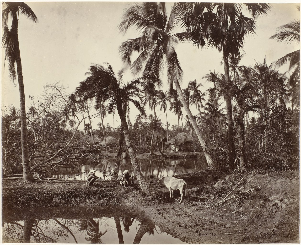 Byutsikt i Bengal, Indien Rustik scen och byliv i Bengal (originaltitel) av Samuel Bourne (signed by artist)