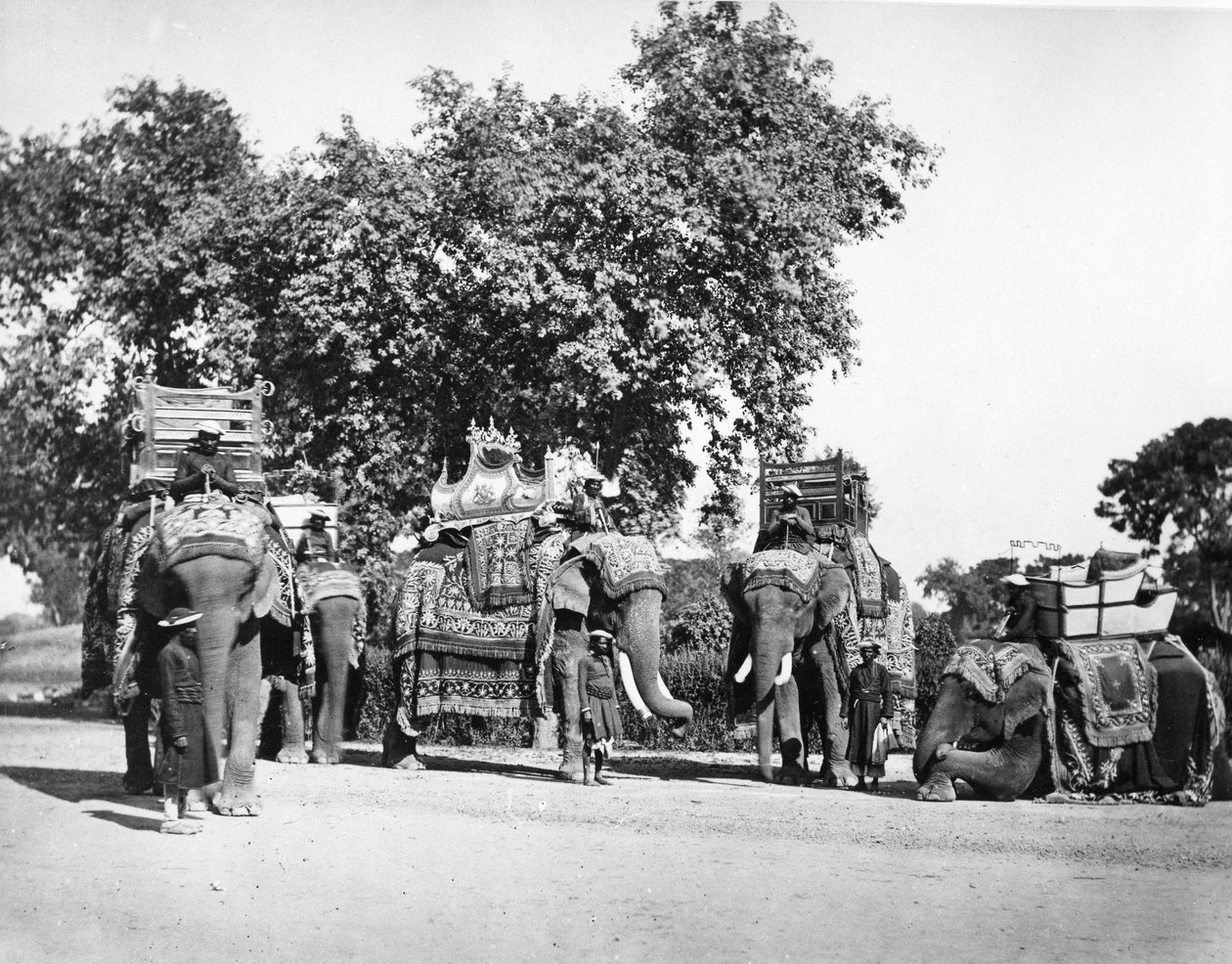 En grupp H E Vicekonungens elefanter och deras statliga fångster, ca 1860-talet av Samuel Bourne