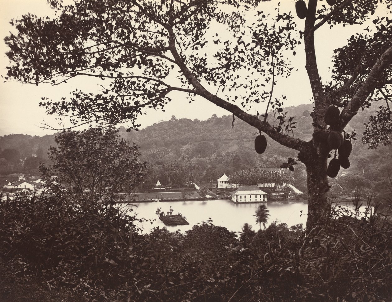En titt från Upper Lake Road som visar templet och ön med park - fruktträd i förgrunden, c1865. av Samuel Bourne