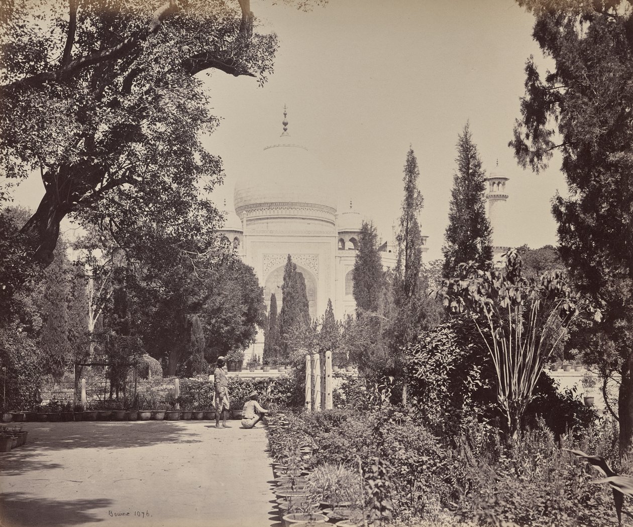 Agra. Utsikt över Taj från trädgården av Samuel Bourne