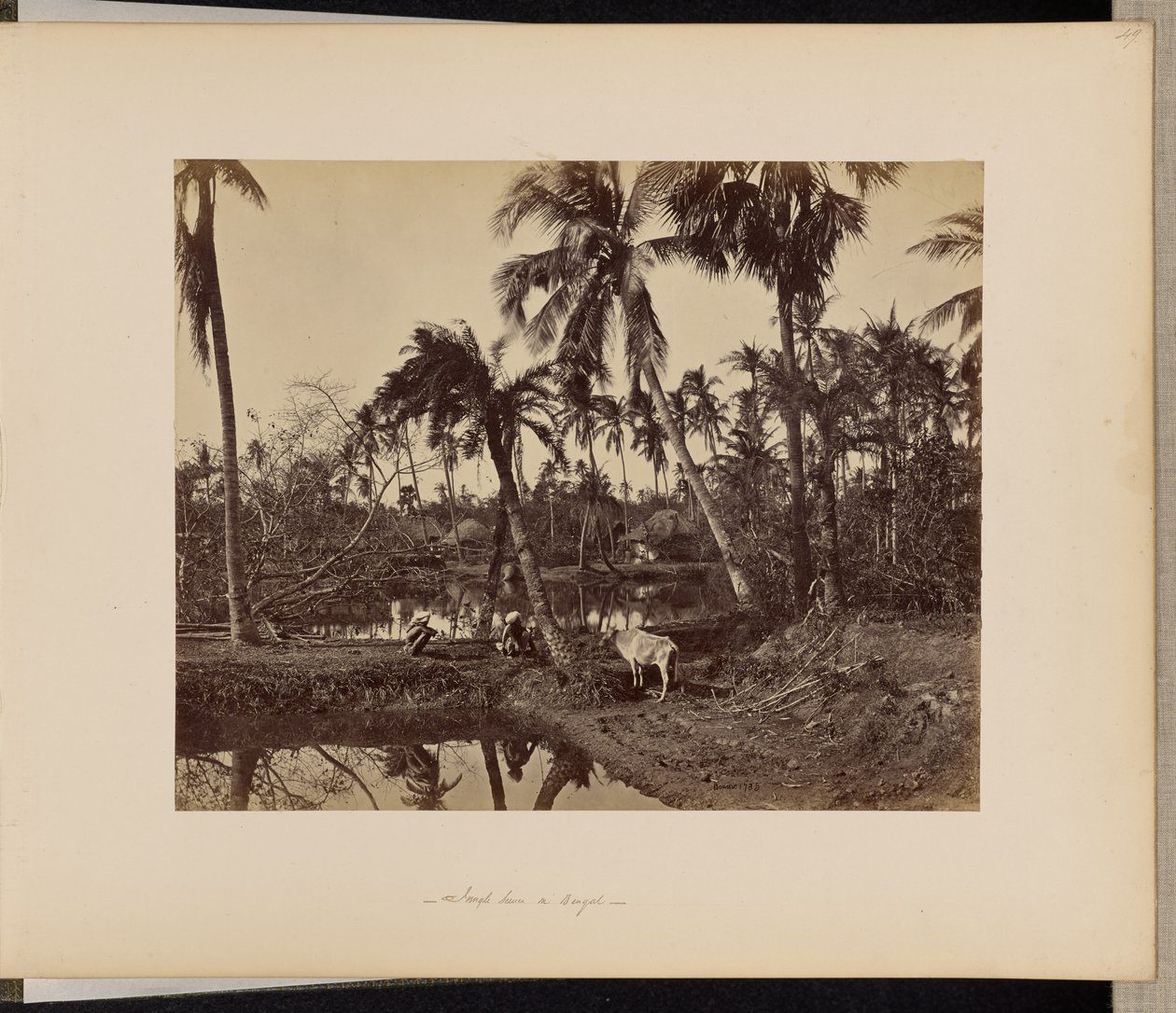 Calcutta; Rustika scener och livet på landsbygden i Bengalen av Samuel Bourne