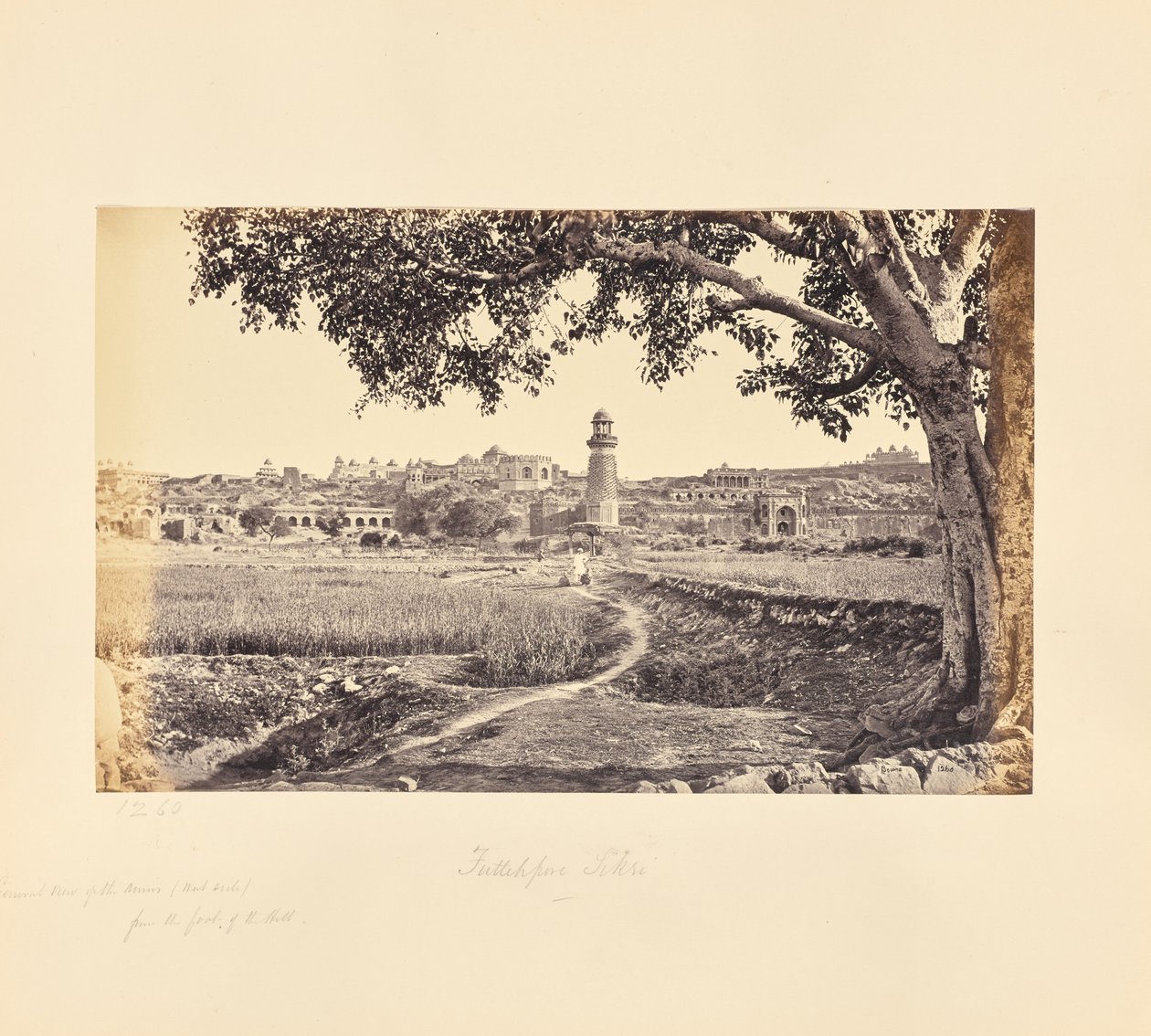 Fatehpur Sikri; översikt över ruinerna (västra sidan), från kullens fot av Samuel Bourne