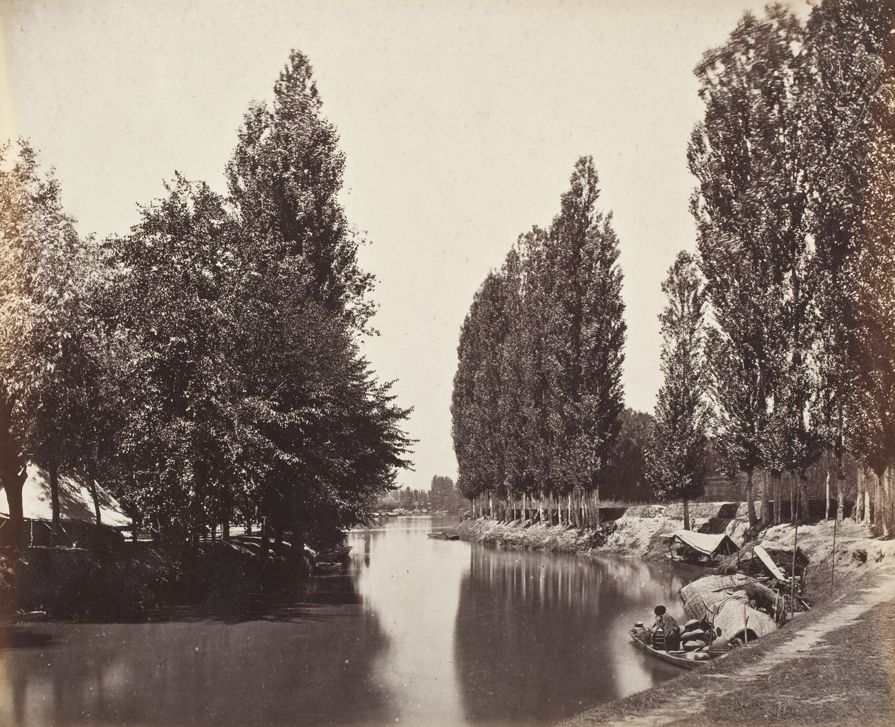 Flod med träd (Indien) av Samuel Bourne