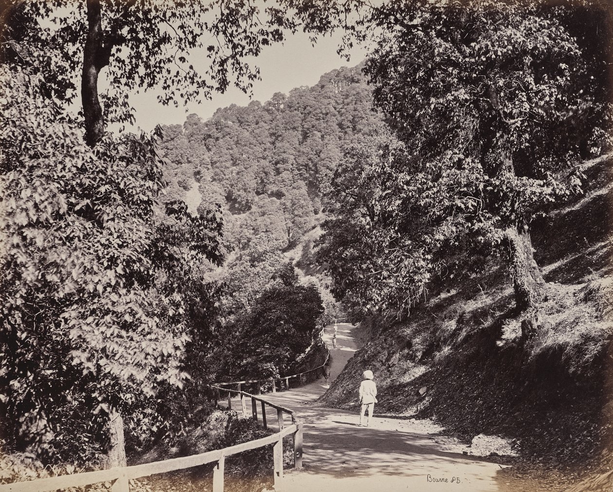 Shimla. The Mall nära Rabq Lodge av Samuel Bourne