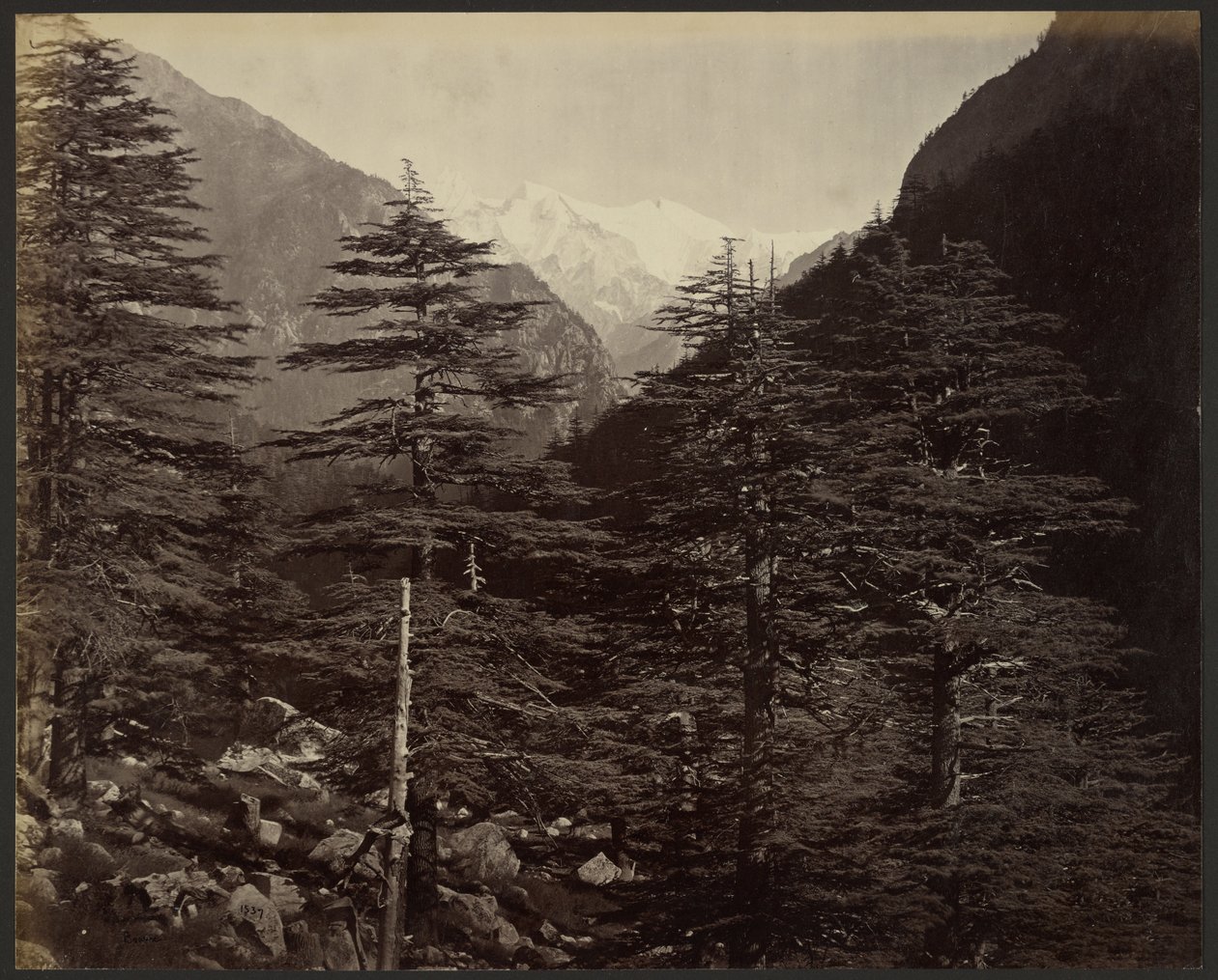 Snöklädda toppar nära Gangotri, från Bhairamghati av Samuel Bourne