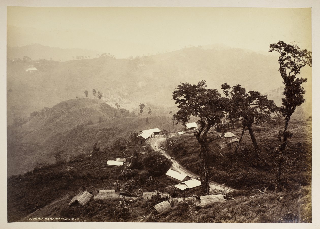 Teendari Bazaar, Darjeeling,  från "Views of Darjeeling",  1860 - 1880    (s/v bild) av Samuel Bourne