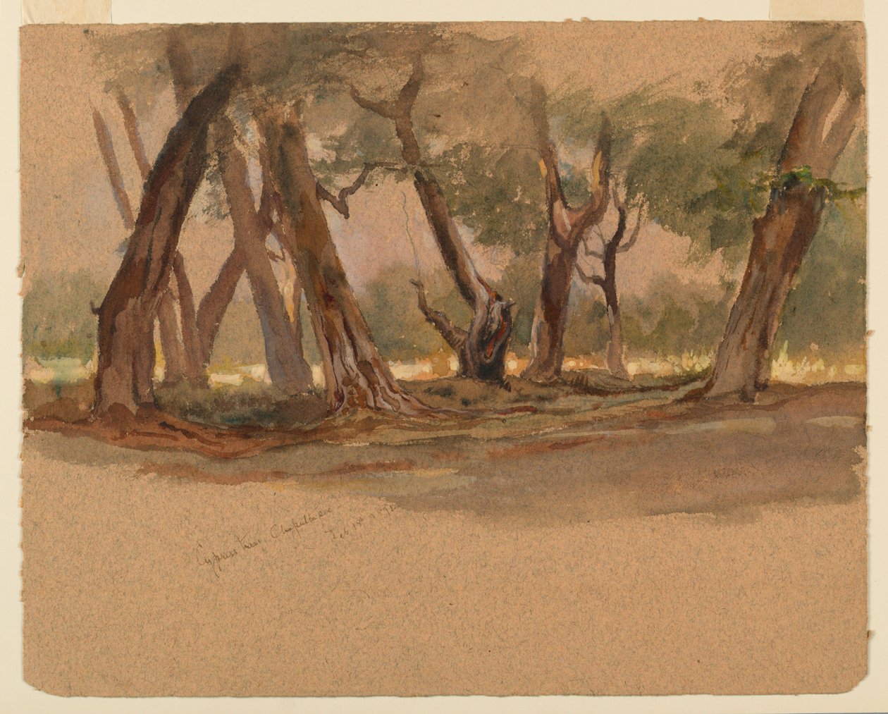 Cypresser, Chapultepec, Mexiko av Samuel Colman