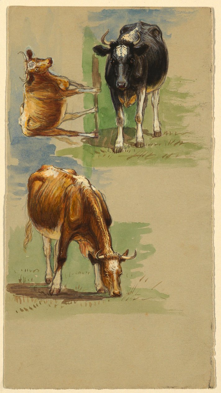 Teckning, Nötkreatur, Stutar, 1875-80 av Samuel Colman