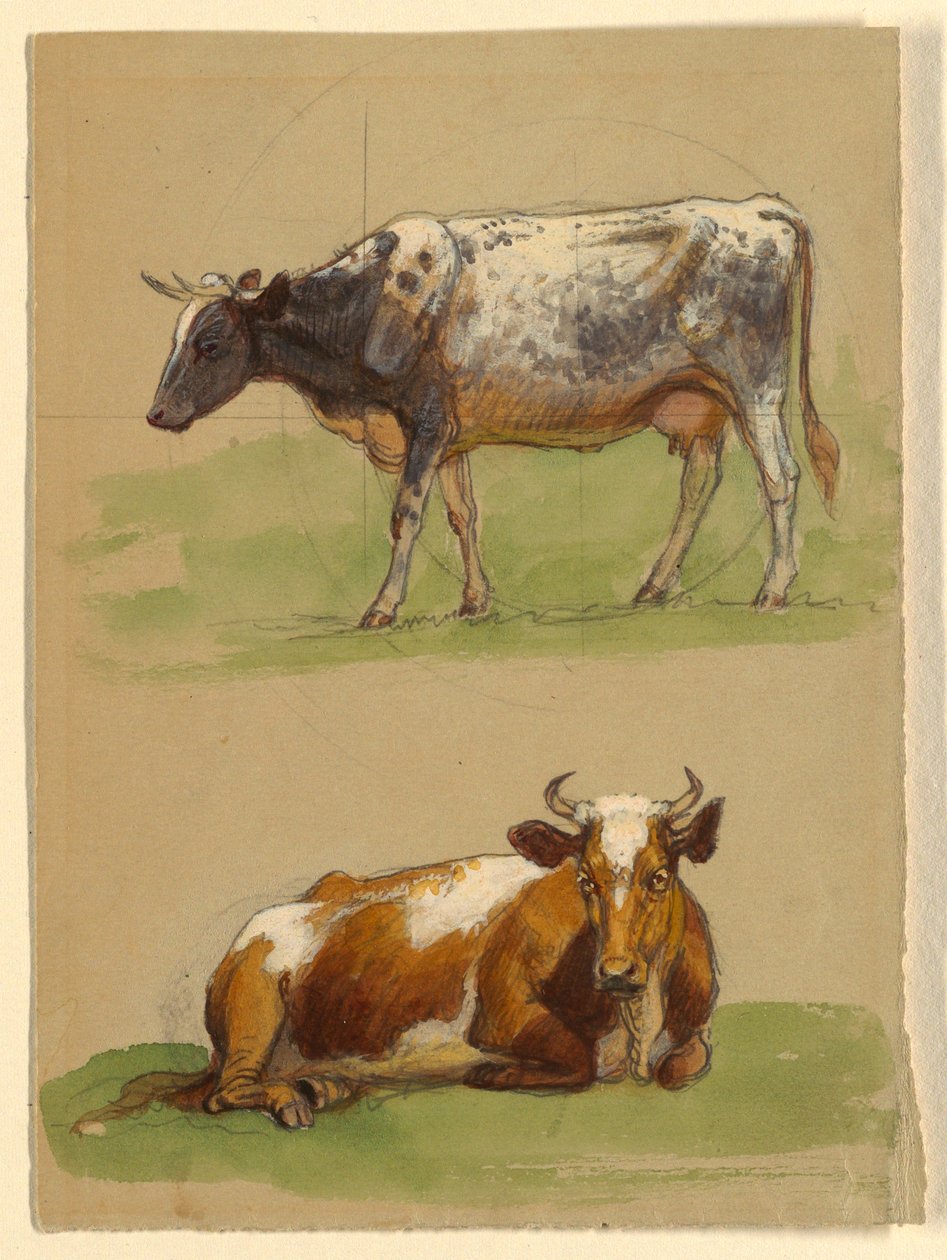 Teckning, Nötkreatur, en ko som går och en ko som hukar sig, 1875-80 av Samuel Colman