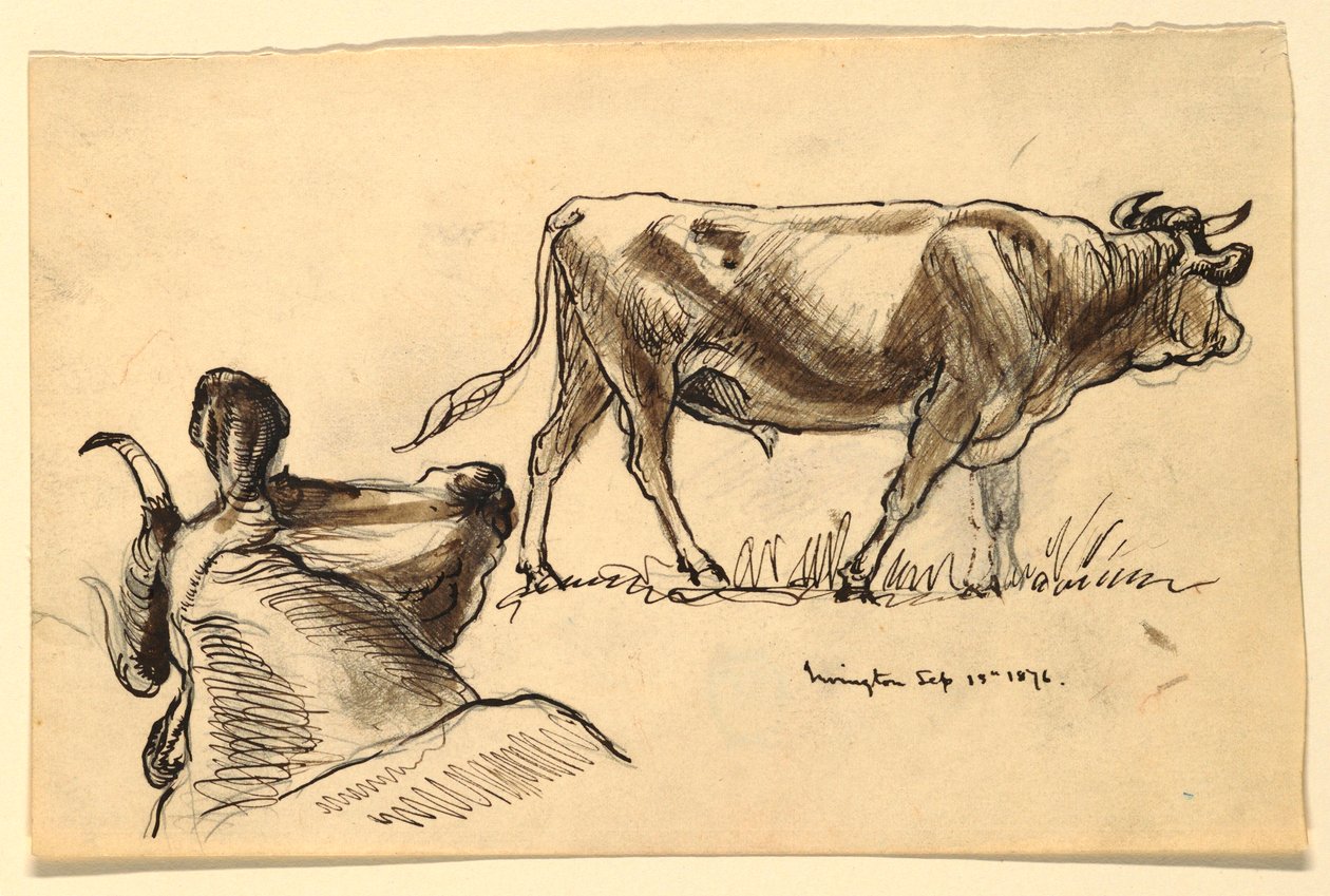 Teckning, Skisser. Nötkreatur, Irvington, september 1876 av Samuel Colman