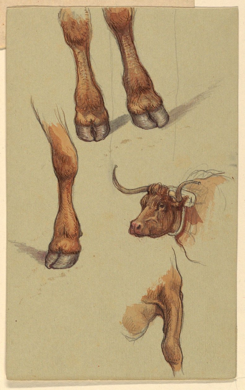 Teckning, Skisser från Narragensett, Rhode Island, 1871 av Samuel Colman