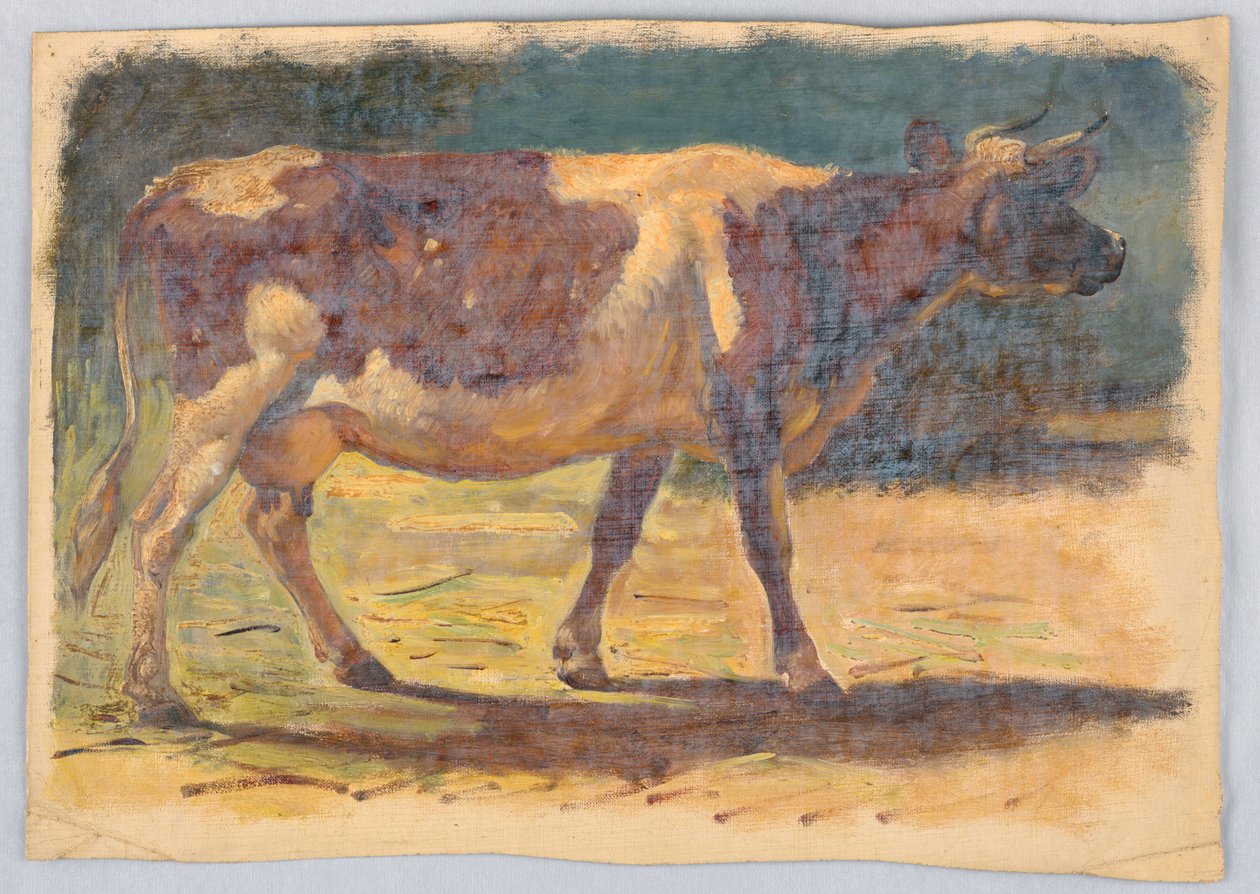 Studie av en stående ko av Samuel Colman