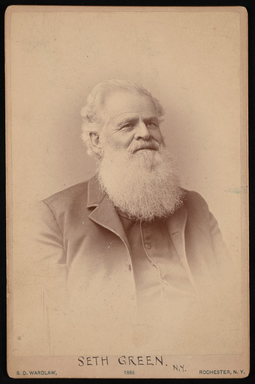 Porträtt av Seth Green 1817-1888, 1886. av Samuel D Wardlaw