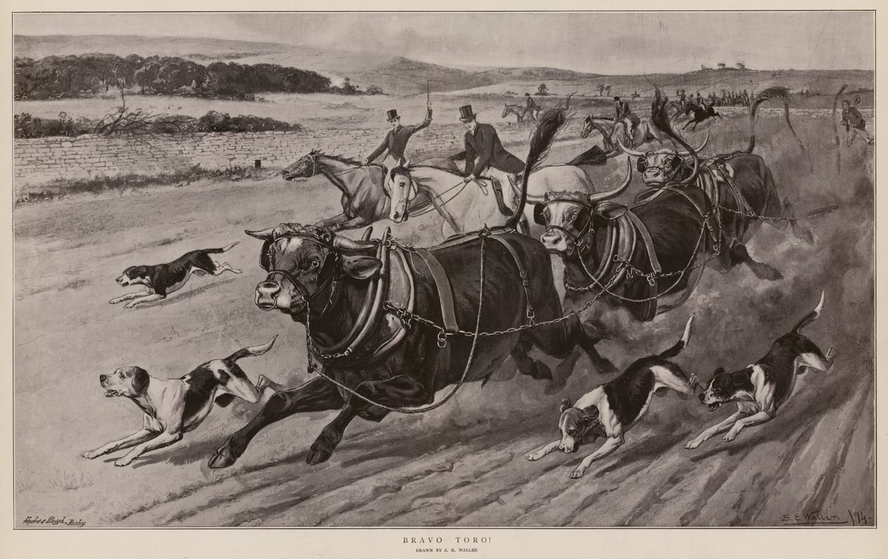 Bravo Toro! (litografi) av Samuel Edmund (after) Waller