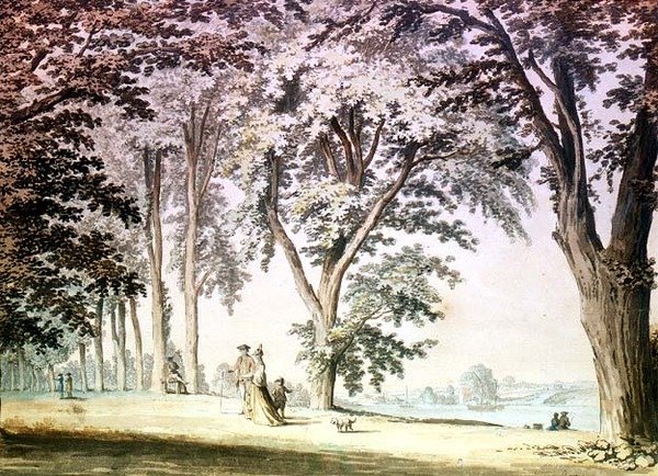 Träd vid Themsen mitt emot Hammersmith av Samuel Hieronymous Grimm