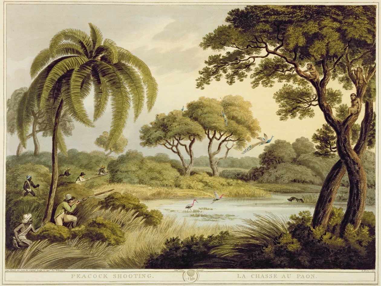 Påfågelskytte, från Oriental Field Sports, pub. av Edward Orme, 1807 (tryck) av Samuel Howett