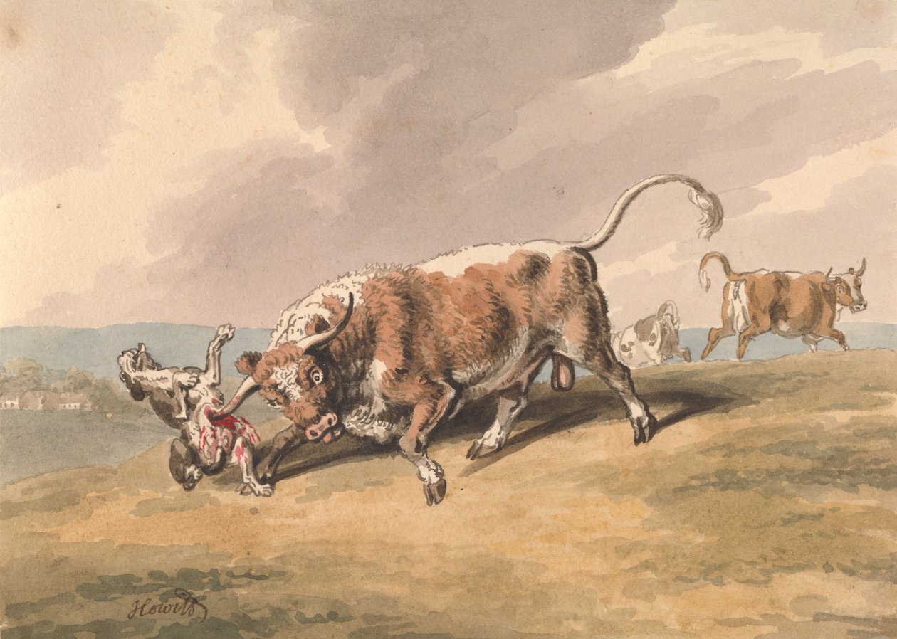 En tjur som attackerar en hund av Samuel Howitt