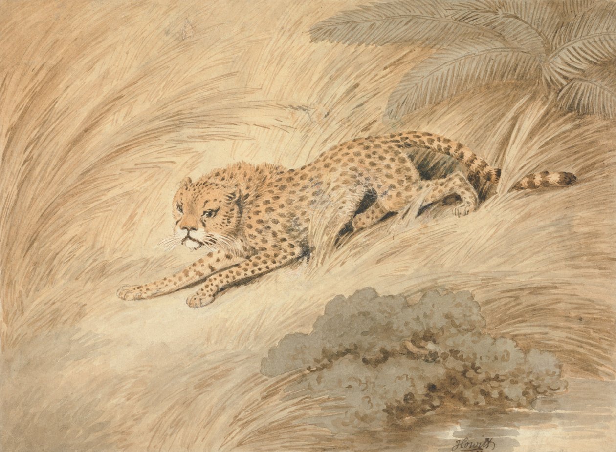 En hukande gepard vid en damm av Samuel Howitt