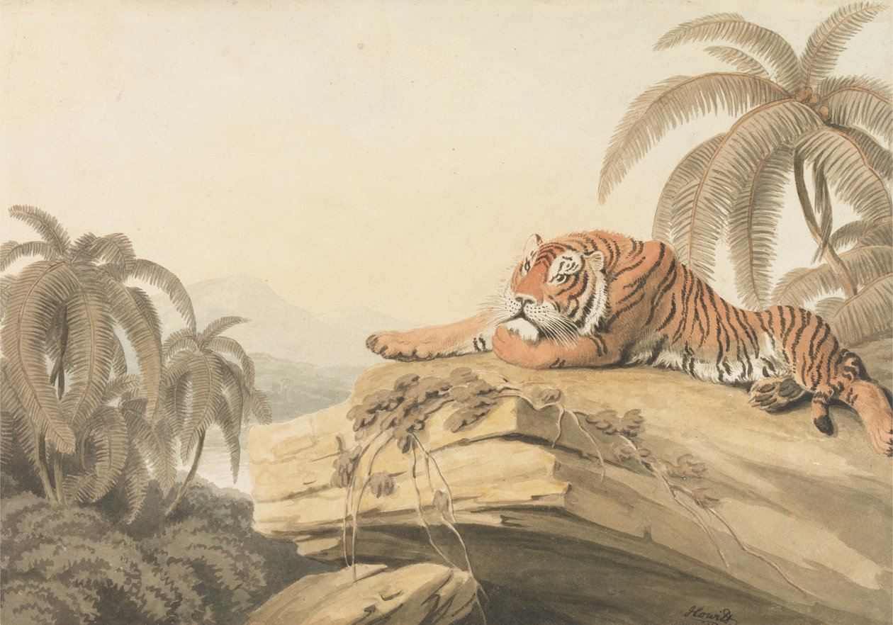 En vilande tiger: frontespisen till "Oriental Field Sports" av Samuel Howitt