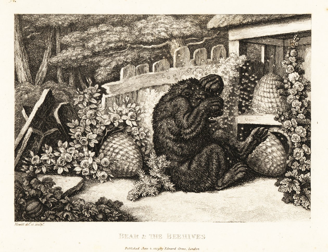 En brunbjörn attackerad av en armé av bin. 1811 (etsning) av Samuel Howitt