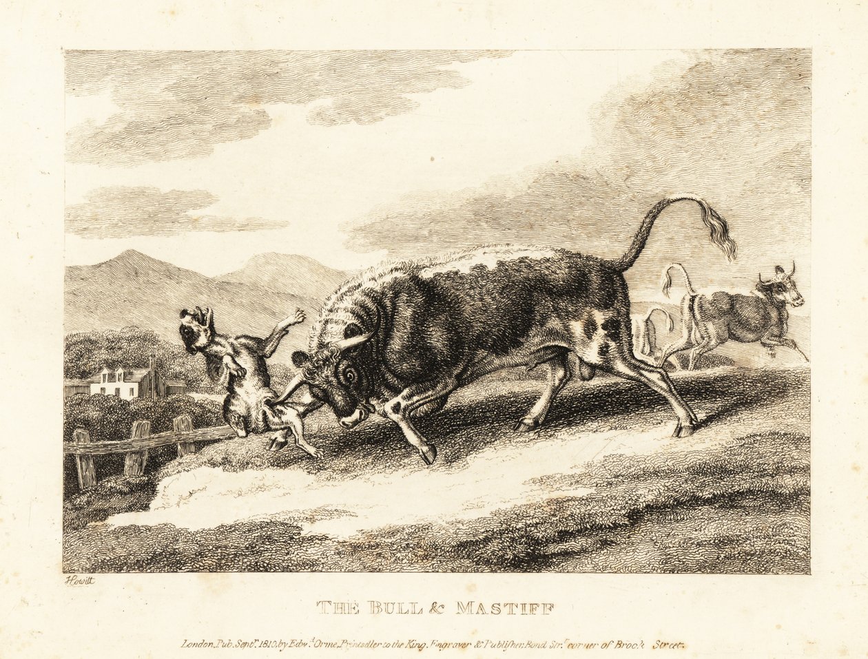En tjur slår ihjäl en hund på ett fält. 1811 (etsning) av Samuel Howitt