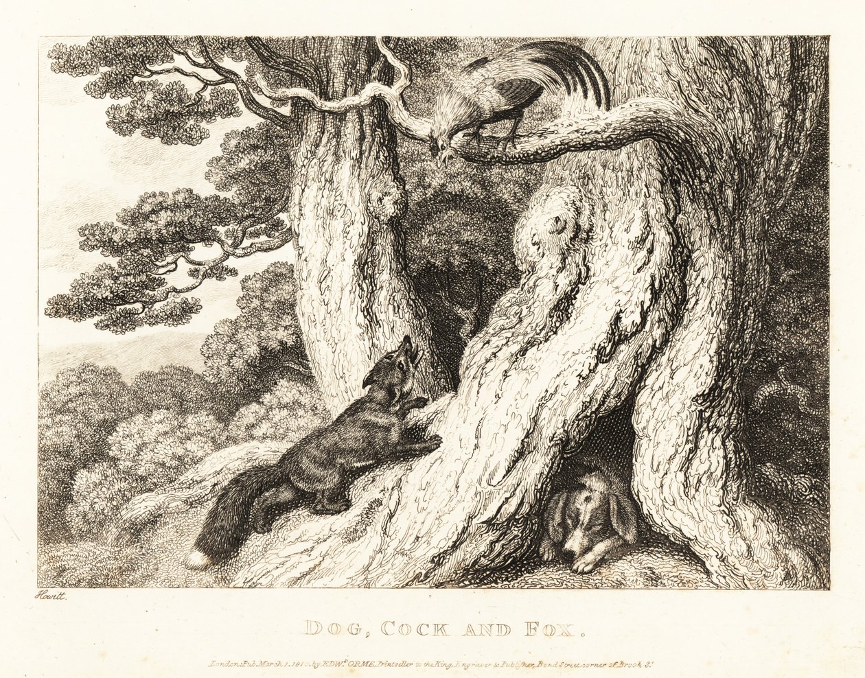 En kuk i ett träd överlistar en räv, medan en hund sover. 1811 (etsning) av Samuel Howitt