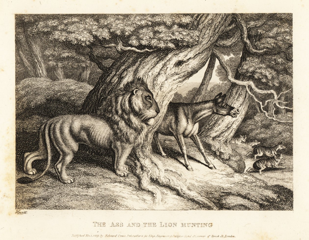 En åsna brasar högt mot byten medan den jagar med ett lejon. 1811 (etsning) av Samuel Howitt