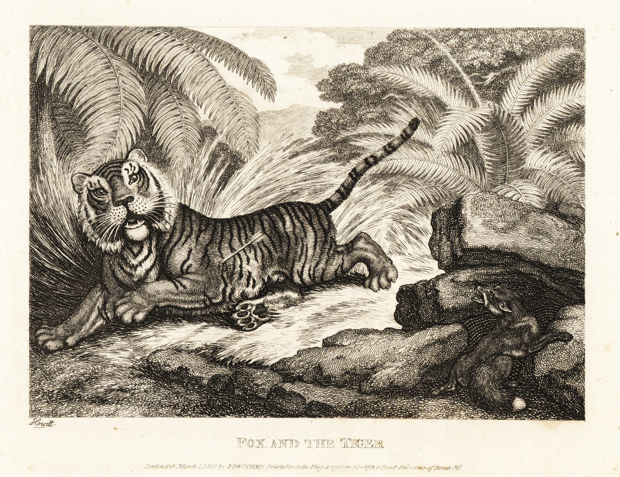 En räv tittar på en skadad tiger. 1811 (etsning) av Samuel Howitt