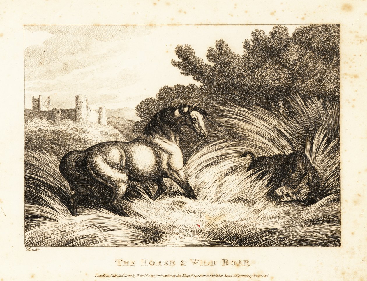 En häst och vildsvin vänder mot i en hage. 1811 (etsning) av Samuel Howitt
