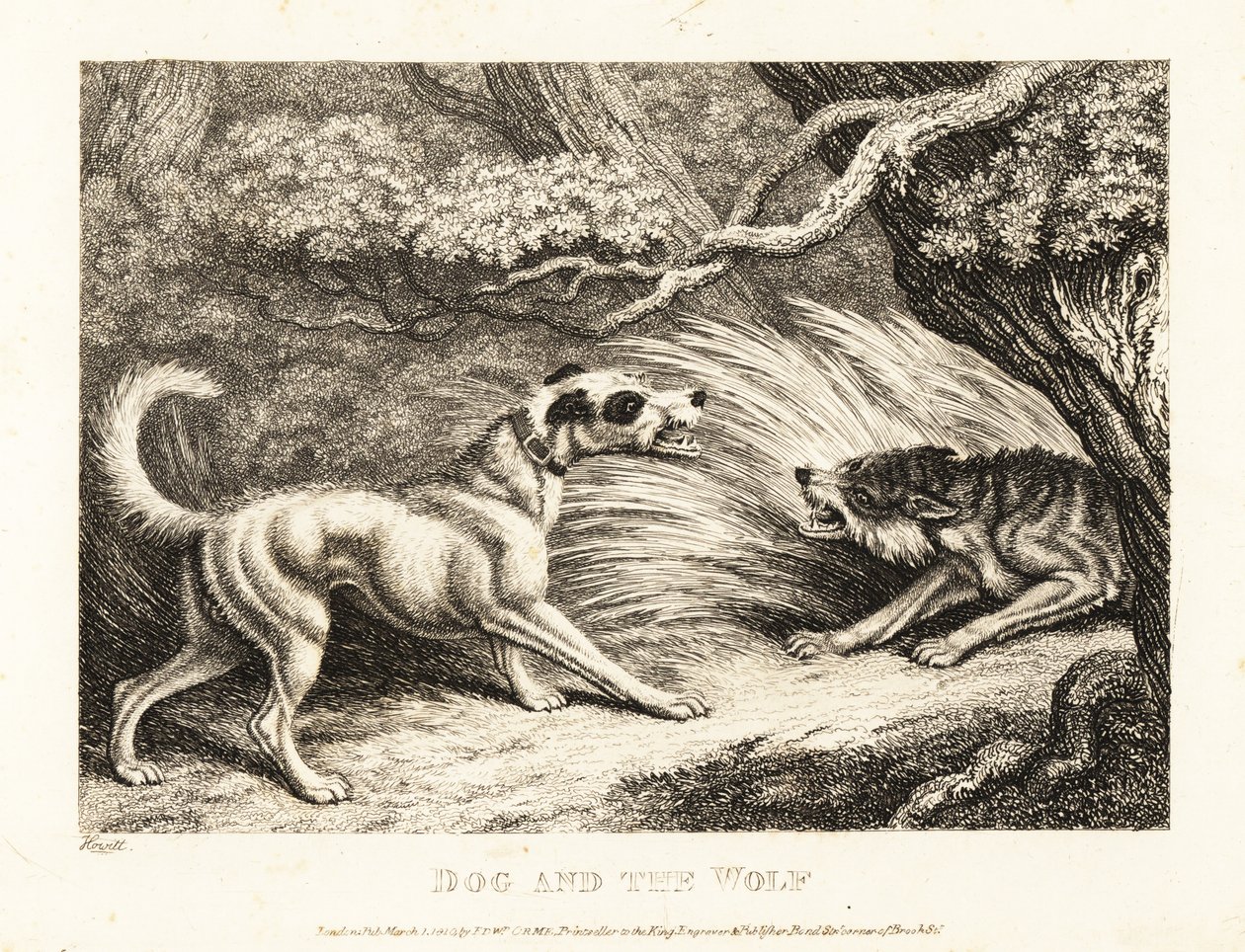 En hushund i halsband erbjuder mat till en svältande varg. 1811 (etsning) av Samuel Howitt