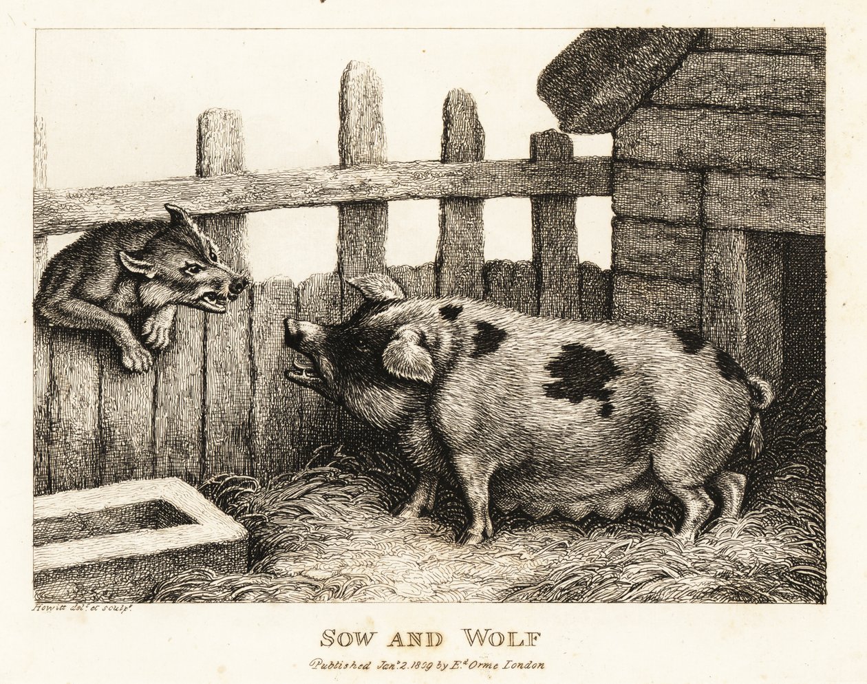 En stor sugga i en grisstall morrande mot en varg. 1811 (etsning) av Samuel Howitt