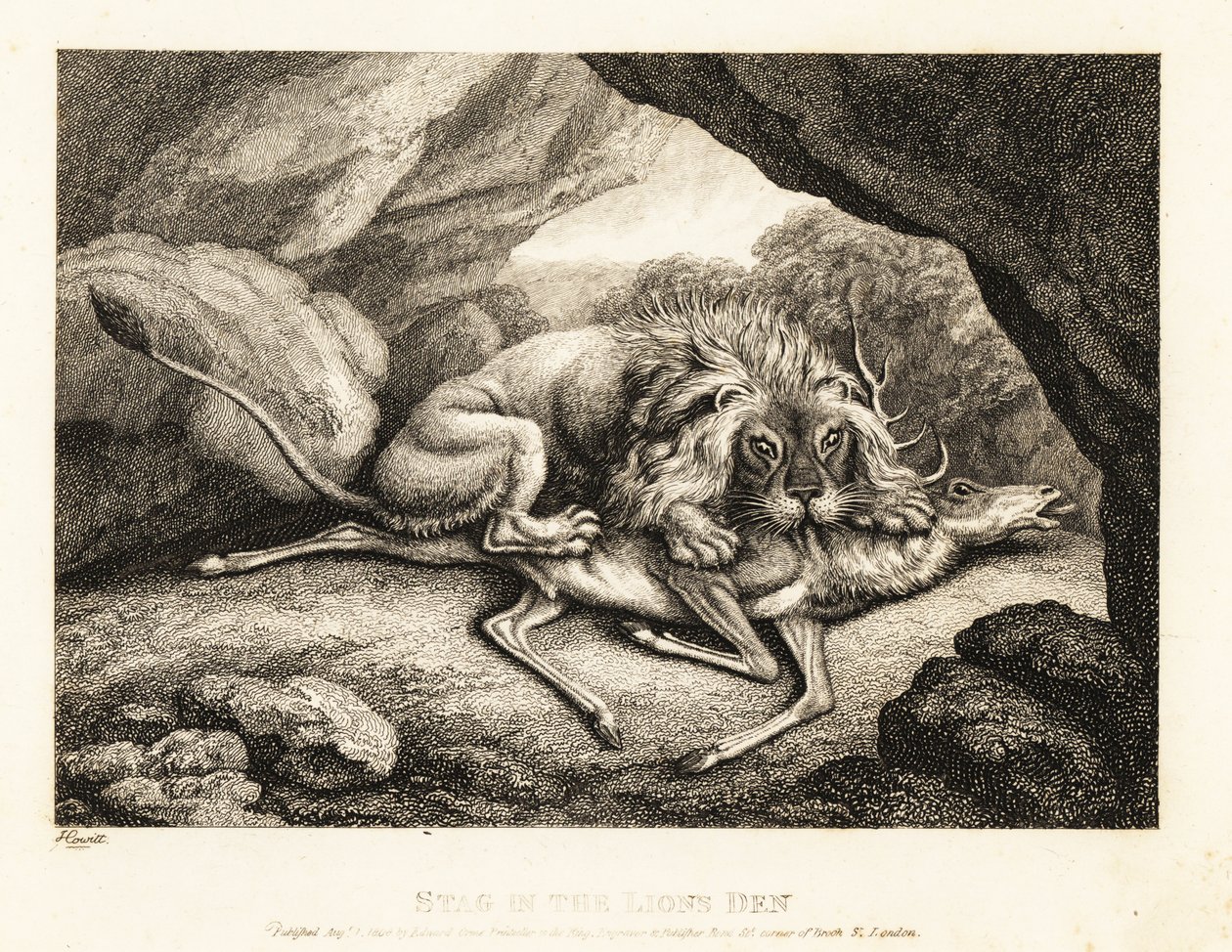 Ett lejon som äter kadavret av en hjort i en grotta. 1811 (etsning) av Samuel Howitt