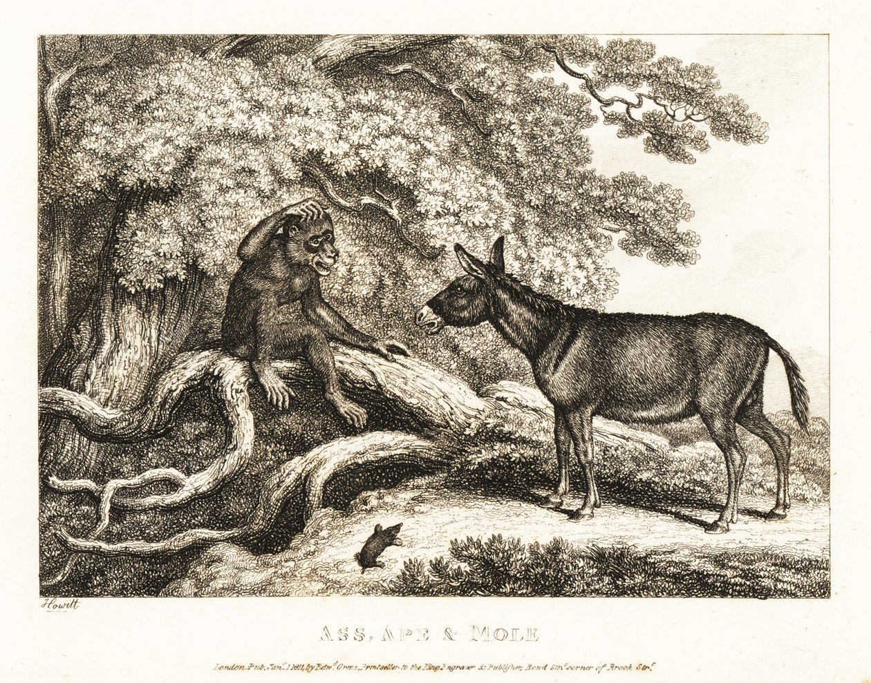 En apa och en åsna stönar tills en mullvad tystar dem. 1811 (etsning) av Samuel Howitt