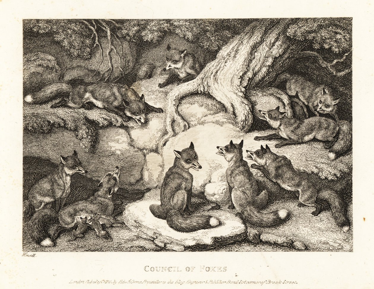 En flock rävar som möts i en skog. 1811 (etsning) av Samuel Howitt