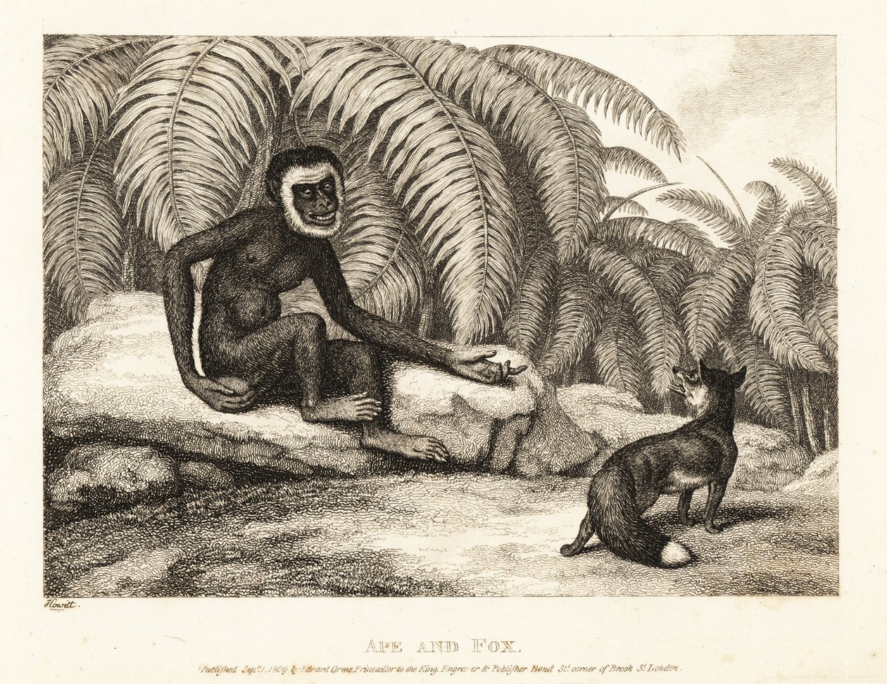 En svanslös apa ber en räv om en del av hans svans. Apa och räv. 1811 (etsning) av Samuel Howitt