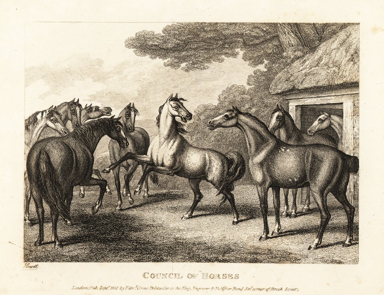 En ung hingst försöker väcka upp ett myteri i stallet. 1811 (etsning) av Samuel Howitt
