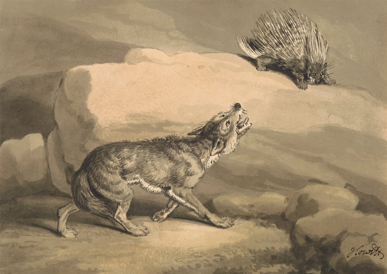 Fox and the Hedgehog (Pinvarg) av Samuel Howitt
