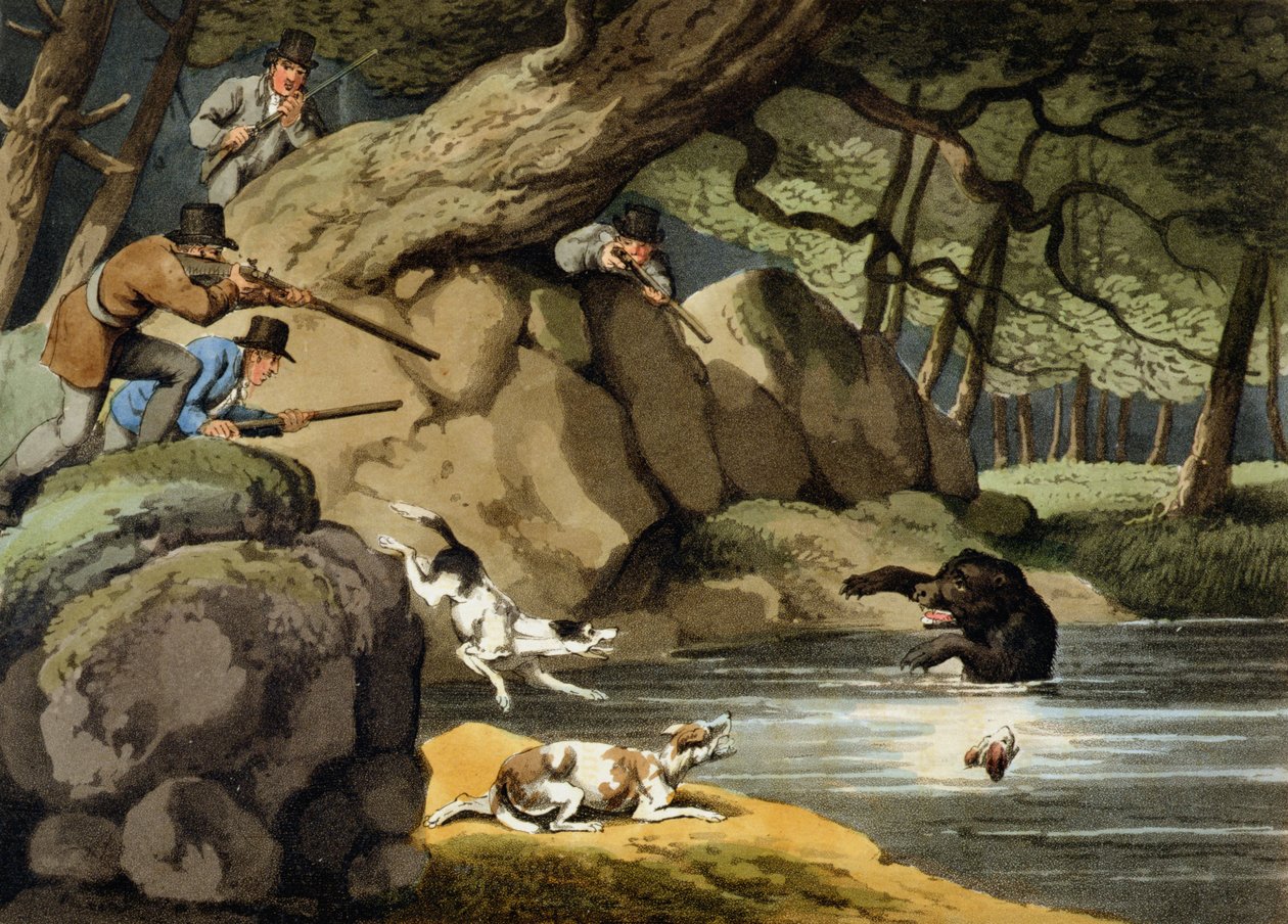North America Bear Hunt, graverad av Matthew Dubourg, publicerad av Edward Orme, 1813 av Samuel Howitt