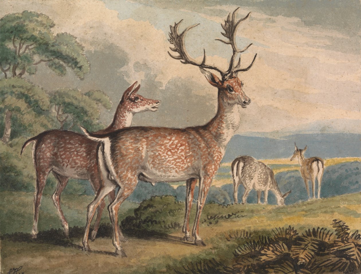 Stag, Doe och Fawns av Samuel Howitt
