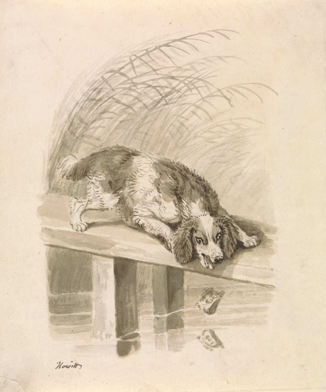 Hunden och skuggan av Samuel Howitt