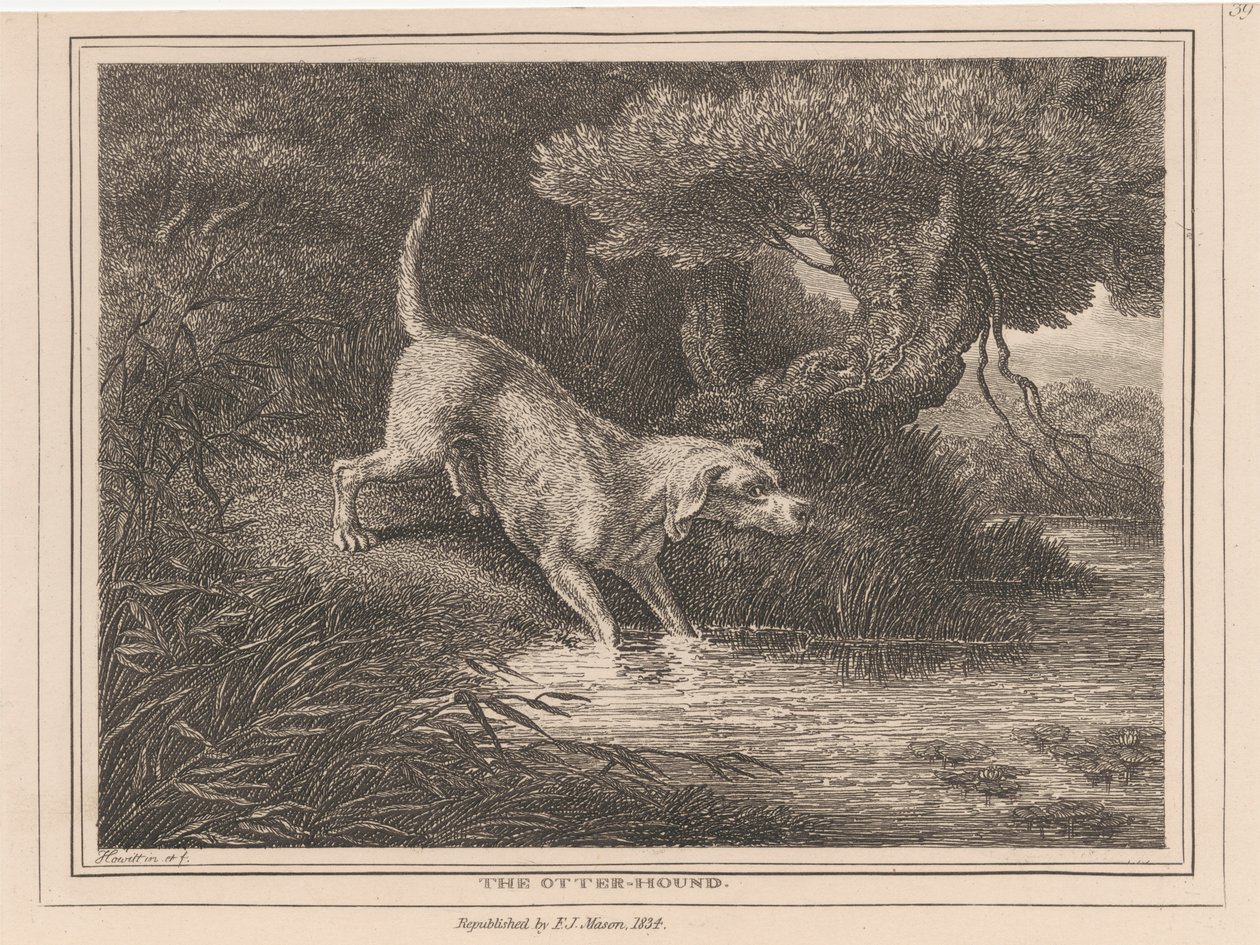 Utterhunden av Samuel Howitt