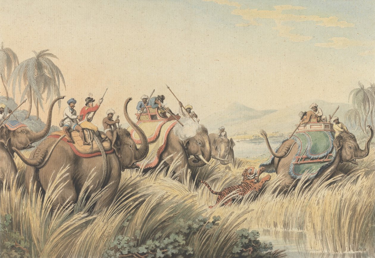 Tigern trängd: en illustration till kapten Thomas Williamsons "Oriental Field Sports" av Samuel Howitt
