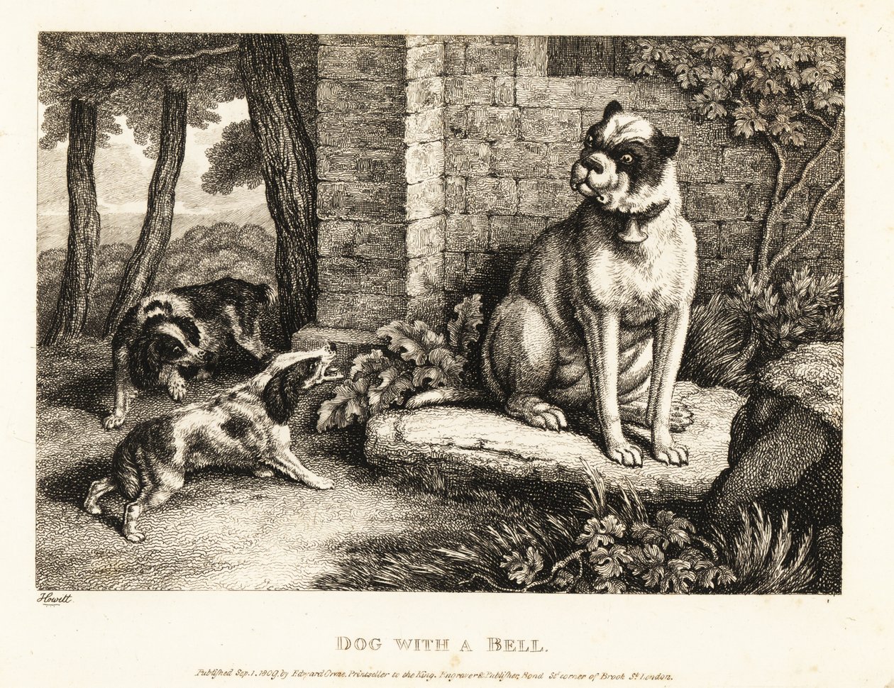 Två spaniels skäller på en bulldog med en klocka på kragen. 1811 (etsning) av Samuel Howitt