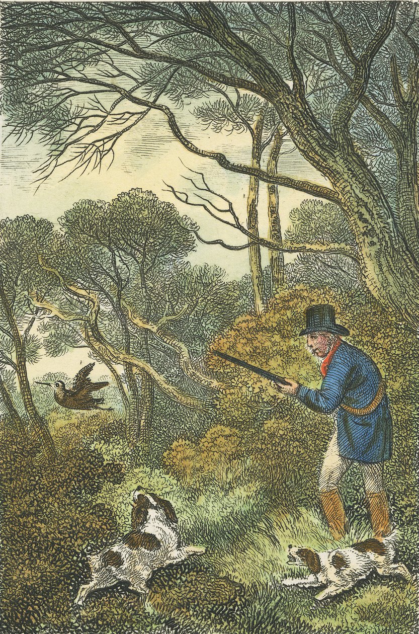 Skjutning av skogssnäcka, 1819 (handkolorerad gravyr) av Samuel Howitt