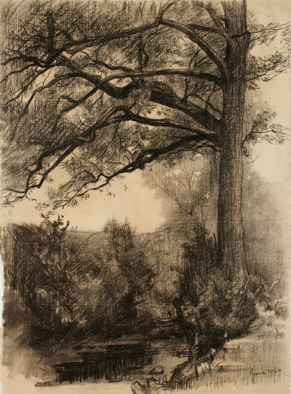 Landskap med stort träd, 1884 (kol på gulfärgat papper) av Samuel Isham